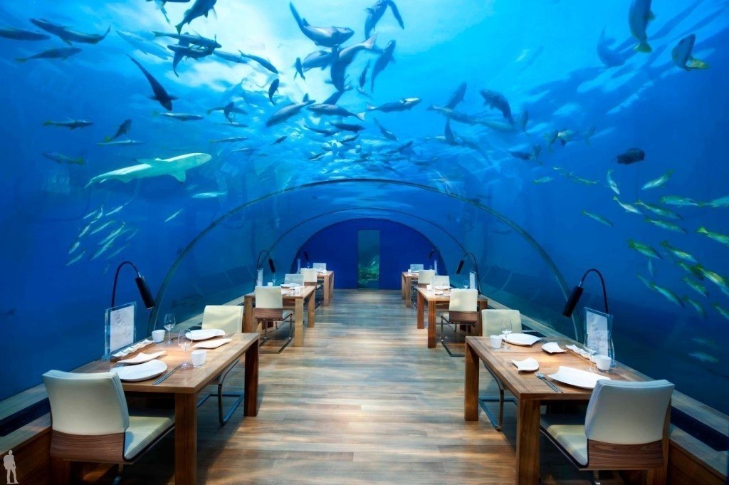 Ithaa Undersea Restaurant -    