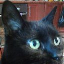 ���� �����, �����������, 57 ��� - ��������� 10 ����� 2019 � ������ ���� �������� - ������