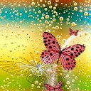 ���� Lengi1, �������, 45 ��� - ��������� 6 ������� 2018 � ������ ���� ����������