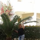  V dekabre v Hurhgade �� ������� ���� ����������