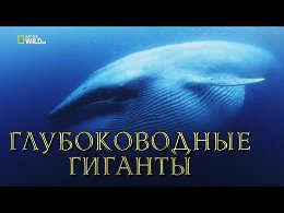 Nat Geo Wild:   (1080)