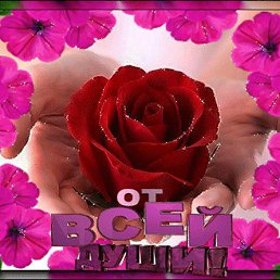 ����, ������, 40 ���