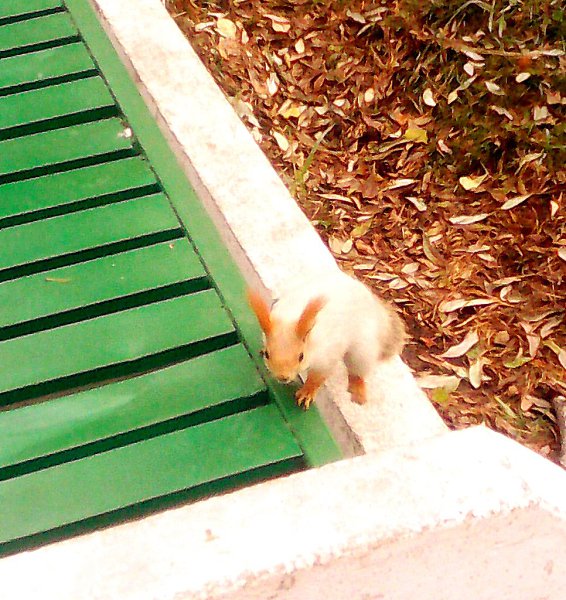   - 1  2019  16:54 - 2