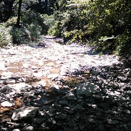 �����, ������-��-����, 44 ����