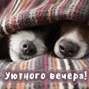 ���� Elena, ������, 54 ���� - ��������� 19 ������� 2019 � ������ ���� ����������