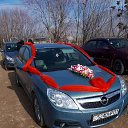 ���� ���������, �����-���������, 56 ��� - ��������� 4 ������ 2019