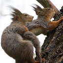 ���� ������, ������������ - ��������� 27 ����� 2019 � ������ ��������