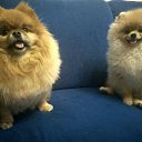 ���� �����, ��������, 53 ���� - ��������� 19 ������� 2018 � ������ ���� ���� ������