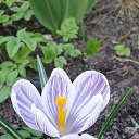 ���� �������, �����, 37 ��� - ��������� 11 ����� 2019 � ������ ���� ����������