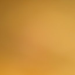 ���� �����, �����-���������, 49 ��� - ��������� 5 ������� 2018