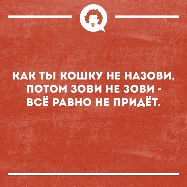   - 26  2018  16:39
