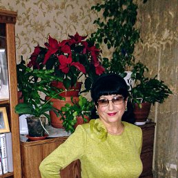 ���� �����, ����-��������� - ��������� 11 ������� 2019