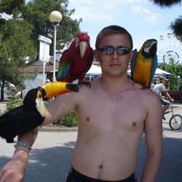 �������, �����, 44 ����