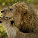 ���� ����, ������, 53 ���� - ��������� 21 ����� 2019