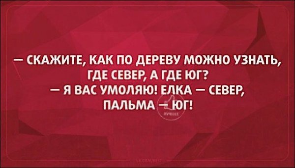 ☆ ☆ - 4  2019  16:56