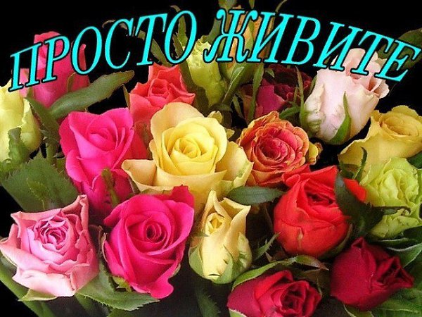 Никoгда никому не завидуй, Ни деньгам, ни овалу лица, За хорошим бывает не видно, Что скрывают за ...