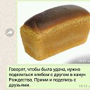 ���� ����, ������� - ��������� 8 ������ 2019 � ������ ������ ��������