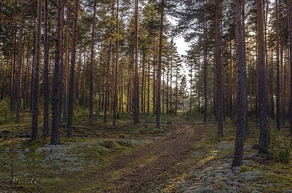 Boooa oa. aoa a aoa! - 2