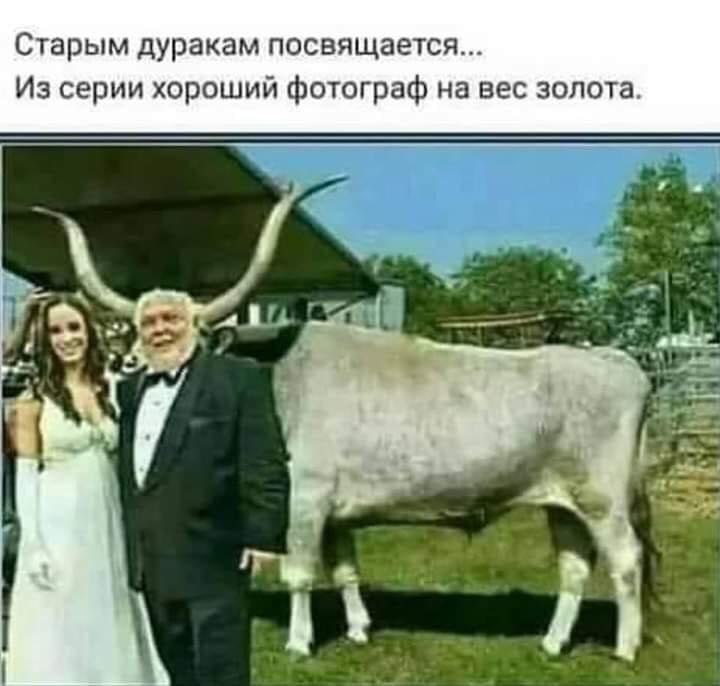   ....