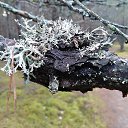 ���� Jurij, ����, 47 ��� - ��������� 5 ������� 2018 � ������ ������ ��������