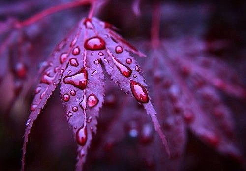 �������� �������! - 9 �������� 2018 � 12:15 - 3