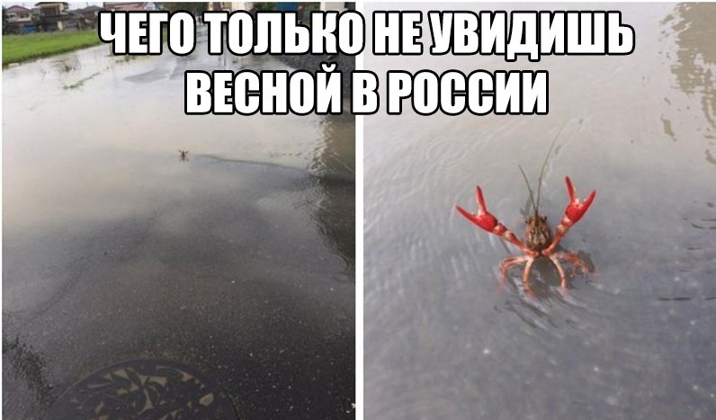    :D - 23  2019  03:23