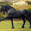 ���� �����, ������ �������� - ��������� 20 ������� 2018 � ������ �������