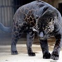 ���� �������, ����-����, 48 ��� - ��������� 29 ������� 2018 � ������ ���� ����������