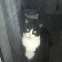 ���� �������, ����, 46 ��� - ��������� 25 ������� 2019 � ������ ���� ����������