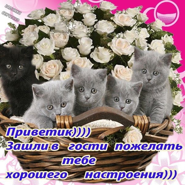  - 5  2018  10:04