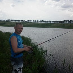 ���� ������, ���������, 41 ��� - ��������� 18 ������ 2019