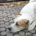 ���� ����, ������, 59 ��� - ��������� 13 ������� 2018 � ������ ���� ����������