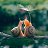 ���� �����, ������ - ��������� 16 ������� 2018