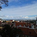 old Tallin �� ������� ���� ����������