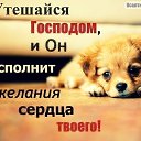 ���� ������.., ��������� - ��������� 23 ������� 2019