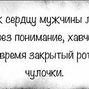  , , 61  -  26  2019   ........