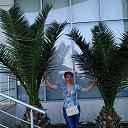 ���� ����, ����, 71 ��� - ��������� 10 ������ 2019