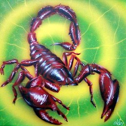 ������, ���������, 41 ���