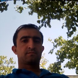 Alik, ������, 40 ���