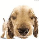 ���� �����, ������-��������� - ��������� 11 ������ 2019 � ������ ���� ����������