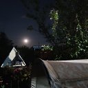  , , 75  -  6  2018      2018