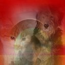 ���� ������, ������, 49 ��� - ��������� 23 ���� 2018 � ������ �������� �������� ����