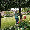  , , 66  -  4  2018    11  2018 