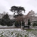 ���� �������, �����������, 61 ��� - ��������� 7 ������ 2019 � ������ ���� ����������