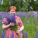 ���� �������� �����, ������ �������� - ��������� 21 ������� 2019 � ������ ���� ����������