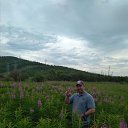  , --, 50  -  7  2018    