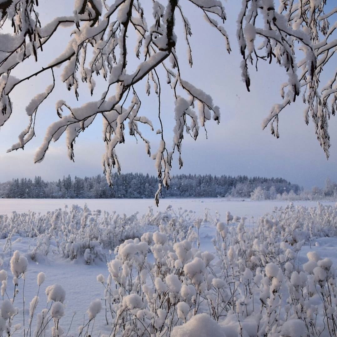  - 26  2019  17:42
