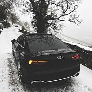 ������, 33 ����, ������-���