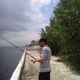 �����, ���������