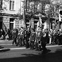 ���� ������ 1993 �.